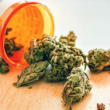 Amid Kentucky Medical Marijuana Laws Confusion And Companies Benefit!