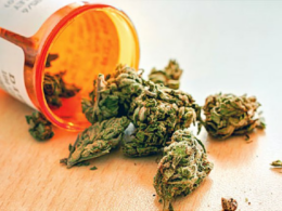Amid Kentucky Medical Marijuana Laws Confusion And Companies Benefit!