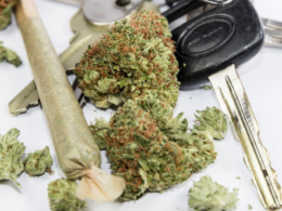 Maryland Police Utilize Volunteers To Test Drivers' Marijuana Damage Before Legalization!