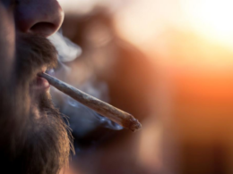 Marijuana Should Not Be Used Recreationally, As We Learnt in The 1960s!
