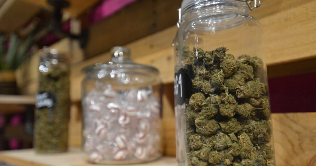 A Federally Funded Twin Study Found Lower Alcohol Use Disorder Rates in States With Legal Marijuana!