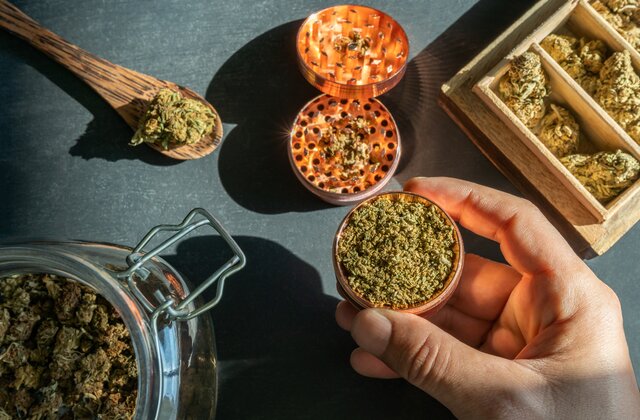  how To Get Invested in Cannabis? Here Are Top Marijuana Stocks To Invest in 2023!