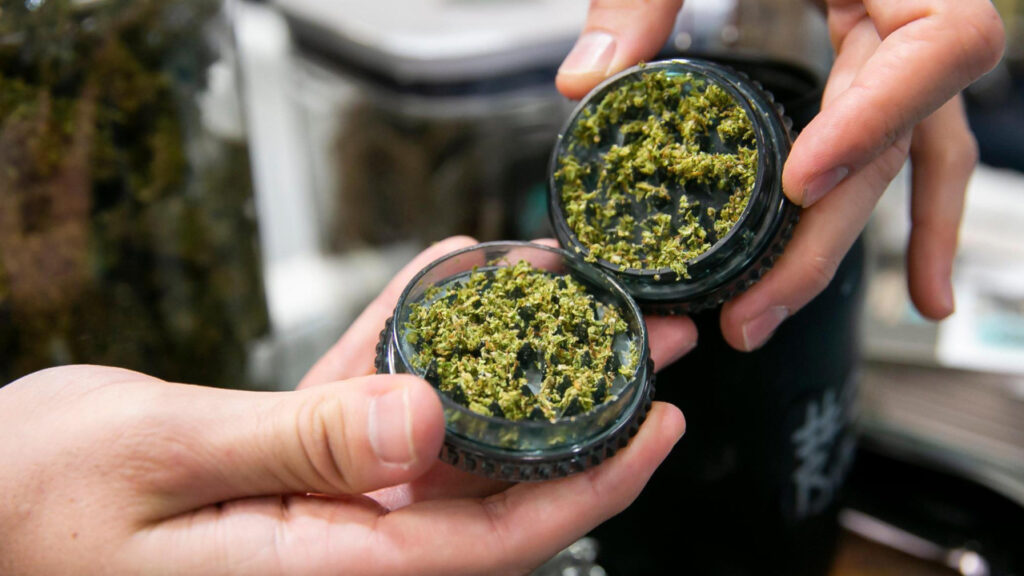 These 7 MS Coast Businesses Receive Cultivation Licenses For Medical Marijuana!