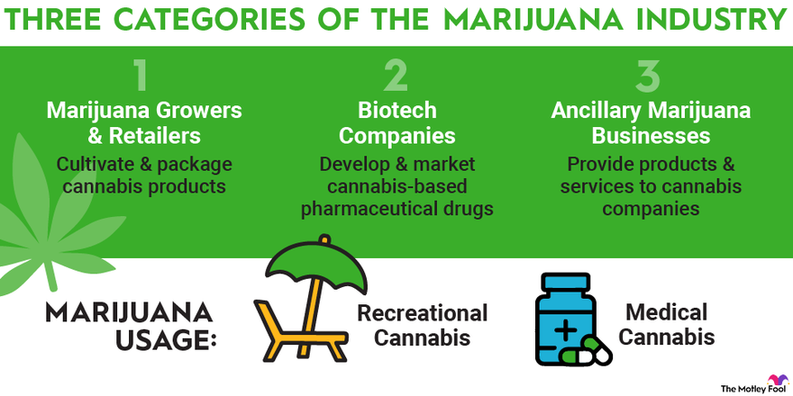 How To Get Invested in Cannabis? Here Are Top Marijuana Stocks To Invest in 2023!