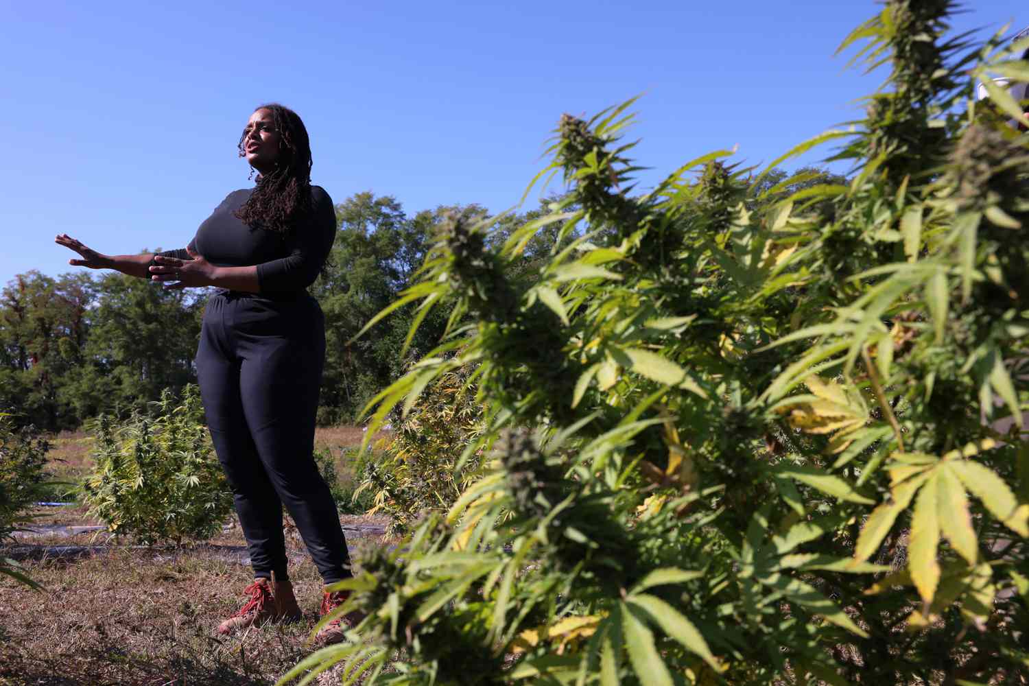 FUTURE REPORTEDLY LAUNCHING MEDICAL MARIJUANA BRAND

