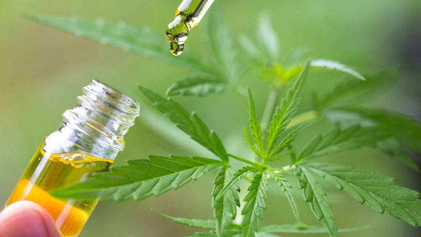 How a Local Veterinarian Is Benefiting From Medical Marijuana!