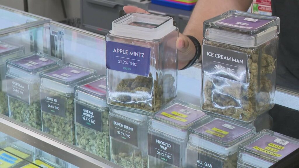 The Missouri Department of Health Declared Legal Marijuana Sales Will Begin on Friday!