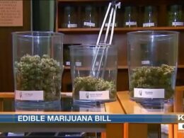 No edibles: ND House votes down medical marijuana expansion