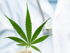 Birmingham considers marijuana ordinance