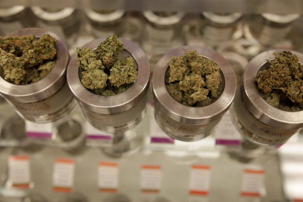 How a Local Veterinarian Is Benefiting From Medical Marijuana!
