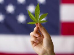 Approved Marijuana Ordinance Still Not Implemented After Vote
