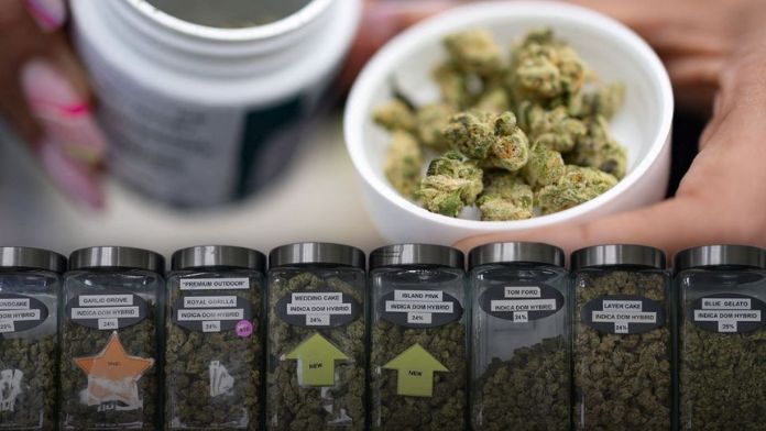 Michigan watchdog pulls cannabis processor's licenses, saying products contain illicit pot