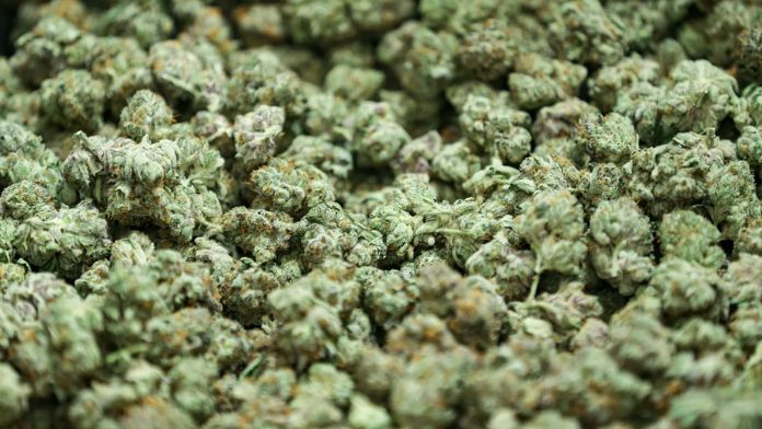 Point: As a grandma, I think recreational marijuana is good for Oklahoma