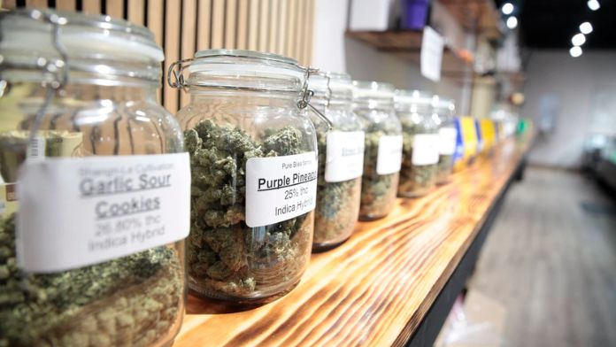 Let Voters Decide Whether To Legalize Marijuana For Recreational Use!