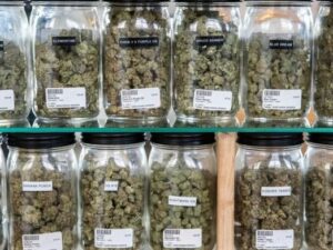 MD lawmakers push legislation on licensing, sale regulations ahead of recreational marijuana legalization