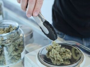 Lansing marijuana processor's licenses suspended for violations