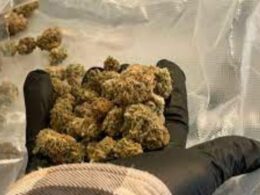 Federal prosecutors crack down on weed delivery service in Virginia and D.C.