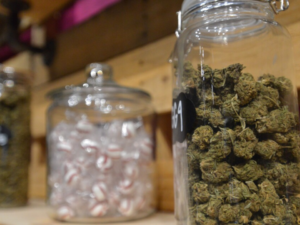 Pot Cafés Will Open in July Under Maryland's Recreational Marijuana Laws!