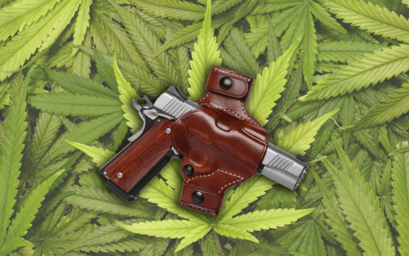 Federal Court Says Ban on Guns For Users Of Marijuana Is Unconstitutional!
