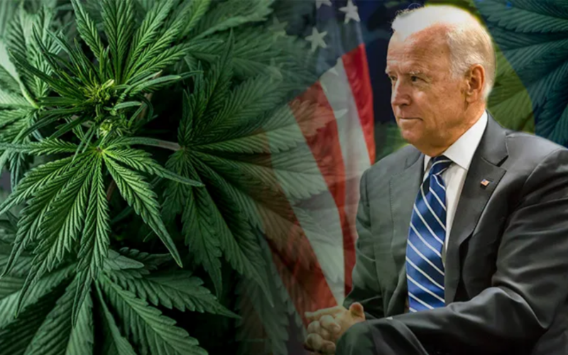 A New Executive Order From Biden Promotes Actions on Marijuana!