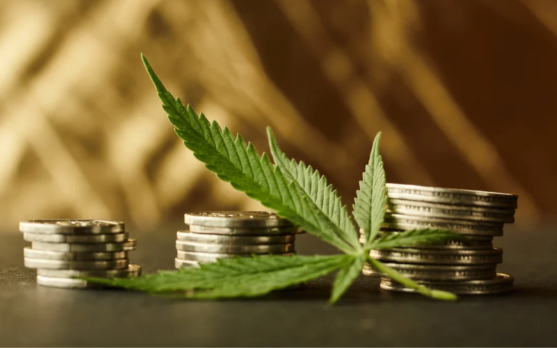 These 3 Marijuana Stocks Are The Most Enticing on Wall Street!