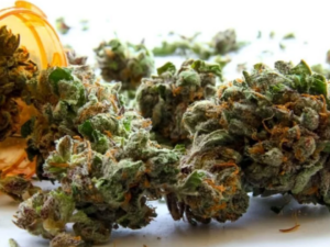 Democrats in The Iowa House Submit a Plan To Legalize Marijuana For Recreational Use!