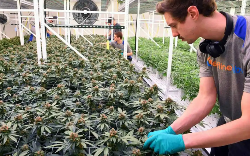 Cannabis Sales Will Be Discussed At a Hearing by The Connecticut General Assembly!