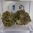 The New Hampshire House Has Voted To Make Cannabis Use Legal!
