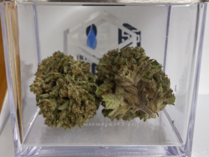 The New Hampshire House Has Voted To Make Cannabis Use Legal!