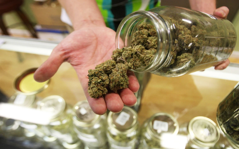 Some Probationers Are Being Refused Access To Medical Marijuana!