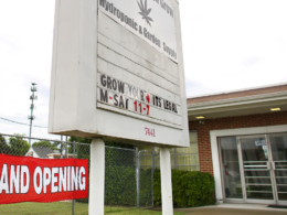 Hampton Launches Medical Marijuana Facility And Lawmakers Consider Retail Sales!