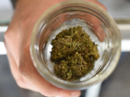 Medical Legalizing Marijuana Finally Coming To Florida Ballot!