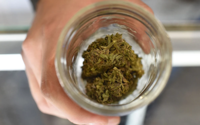 Medical Legalizing Marijuana Finally Coming To Florida Ballot!