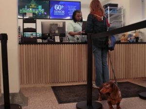 The Missouri Department of Health Declared Legal Marijuana Sales Will Begin on Friday!