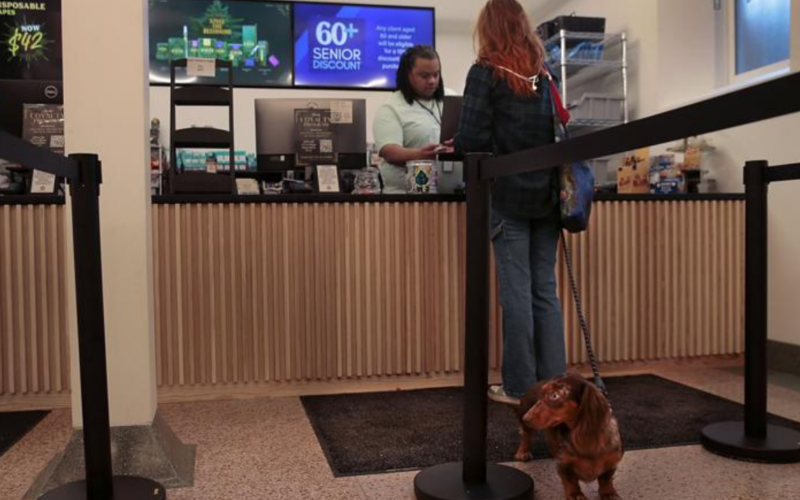 The Missouri Department of Health Declared Legal Marijuana Sales Will Begin on Friday!