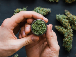 American Medical Association Study Links Long-Term Medical Marijuana Use To Lower Opioid Doses!