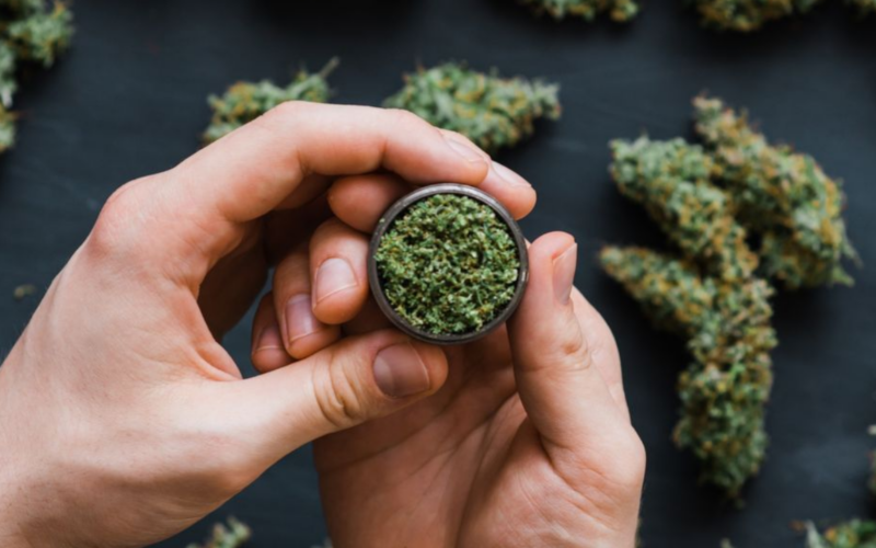 American Medical Association Study Links Long-Term Medical Marijuana Use To Lower Opioid Doses!