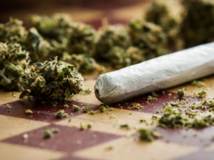 The Campaign To Legalize Marijuana in Florida Has Passed a Crucial Hurdle on Its Way To The 2024 Ballot!