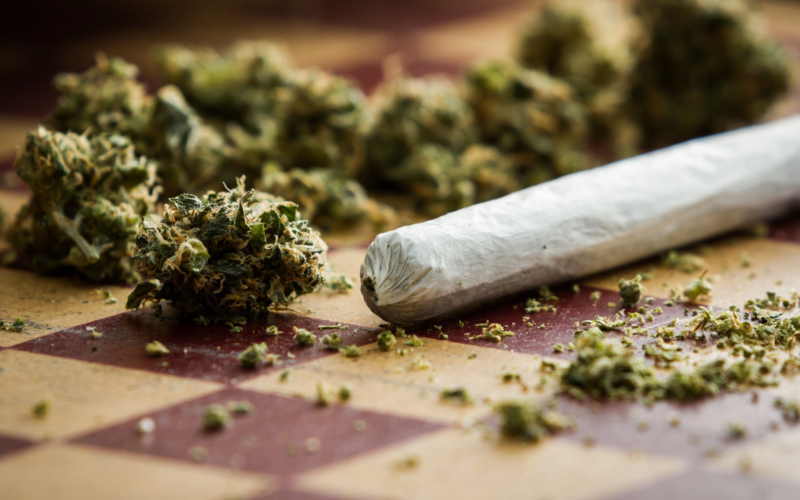 The Campaign To Legalize Marijuana in Florida Has Passed a Crucial Hurdle on Its Way To The 2024 Ballot!