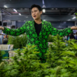A Marijuana Company Stated: "We Want To Be a Part of That Story"!