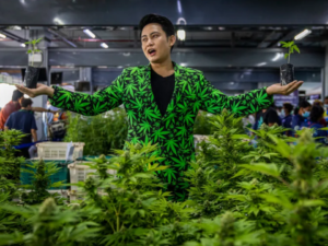 A Marijuana Company Stated: "We Want To Be a Part of That Story"!