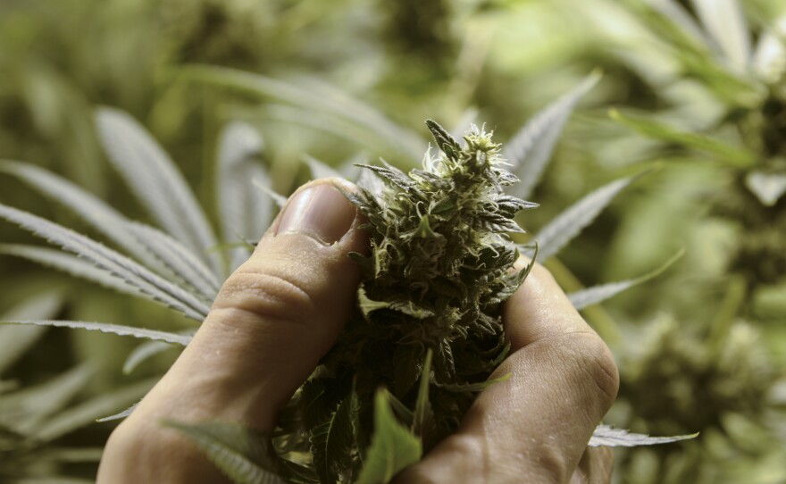 Let Voters Decide Whether To Legalize Marijuana For Recreational Use!