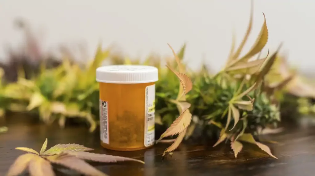 Why Medical Marijuana Activists Argue Missourians Should Still Acquire a Card!