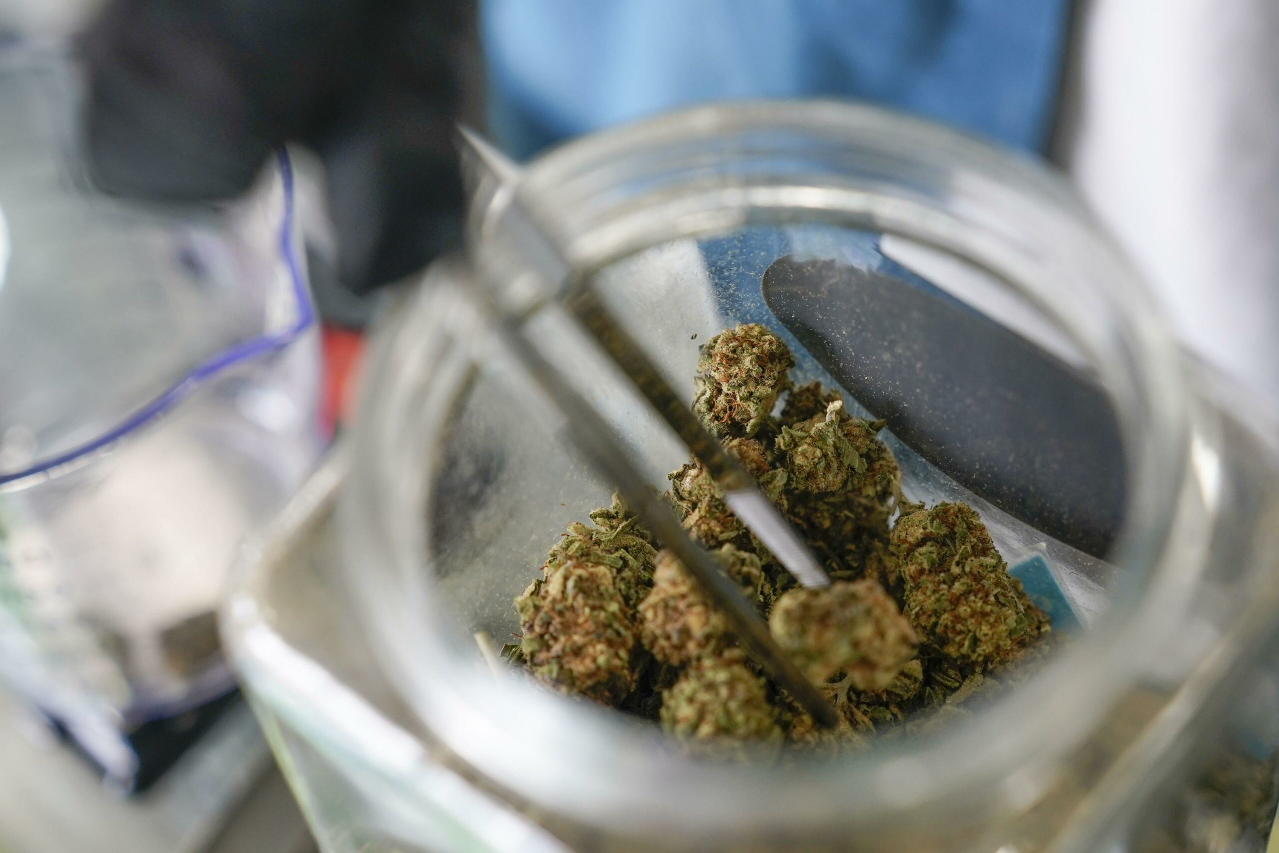 Bill Eliminating Marijuana Scent as Evidence of A Crime Passed House!