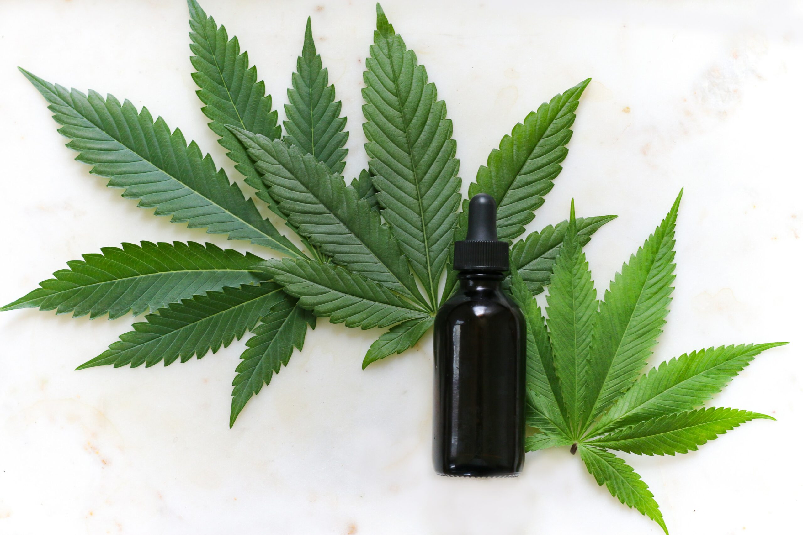 Virginia Lawmakers Are Thinking About Changing a Bill That Limits The Use Of Hemp To Protect Patients' Access To CBD Products!