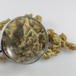 The Governor Of Kentucky Urges Voters To Put Pressure On Lawmakers To Pass A Bill To Legalize Medical Marijuana This Week!