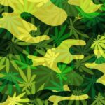 The Governor Of Kentucky Urges Voters To Put Pressure On Lawmakers To Pass A Bill To Legalize Medical Marijuana This Week!