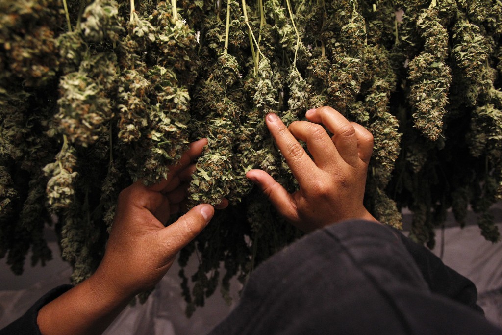 Texas Legislators Approve Medicinal Marijuana As Opioid Replacement While Updating THC Limit!