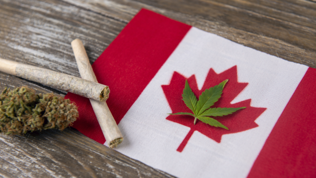 Mid-March Stocks To Watch: 3 Leading Canadian Marijuana Companies!