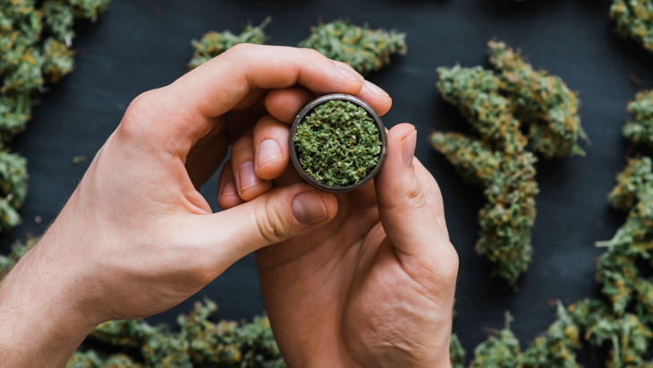 Legislators Plan Substantial Changes To State's Marijuana Law!
